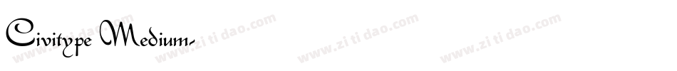 Civitype Medium字体转换